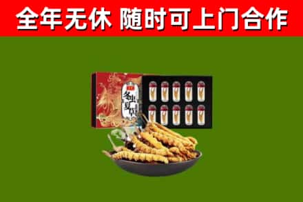 乌海回收冬虫夏草价格