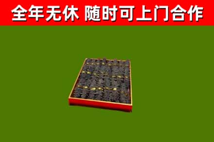 乌海回收海参